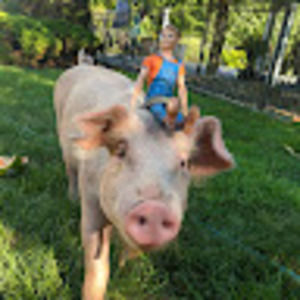 Meet your Posher, Lisa